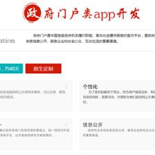 长沙政府门户原生APP网站建设 定制 网站制作APP开发制作
